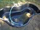 pond-2.jpg